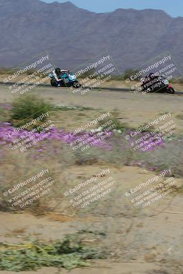 media/Feb-04-2023-SoCal Trackdays (Sat) [[8a776bf2c3]]/Turn 15 Inside Blooming (1050am)/